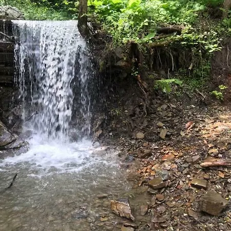 урочище Rafnivskyi